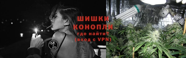 spice Алзамай