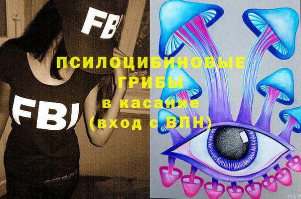 spice Алзамай