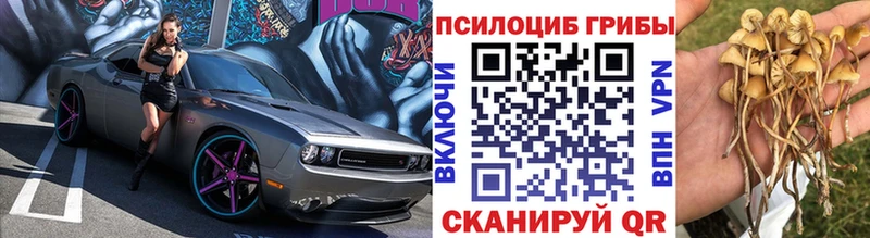 Купить закладки  Борисоглебск  Галлюциногенные грибы MAGIC MUSHROOMS 